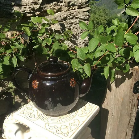 Petit Coin De Paradis Au Coeur Des Alpes *